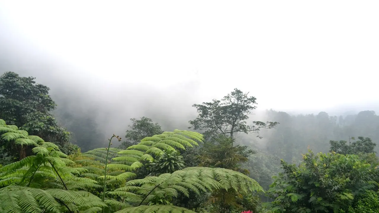 Landscape Lereng Gunung Slamet Selatan di utara Cilongok Kabupaten Banyumas. (Foto: Liputan6.com/Muhamad Ridlo)