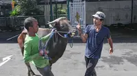 Usai Salat Idul Adha, Umat Muslim Menyembelih Hewan Kurban