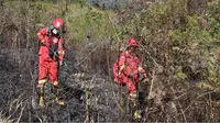 Karhutla Kepung Rinjani, Kemenhut Kerahkan Tim hingga Lakukan Mop-Up