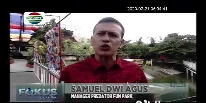 VIDEO: Berinteraksi dengan Hewan Pemangsa di Predator Fun Park Kota Batu