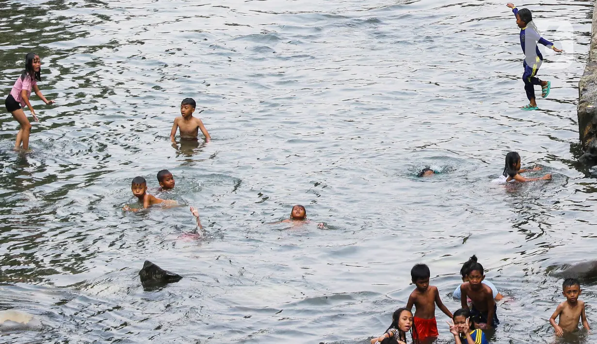 Musim kemarau yang berkepanjangan membuat aliran Sungai Ciliwung surut berbulan-bulan. (Liputan6.com/Herman Zakharia)