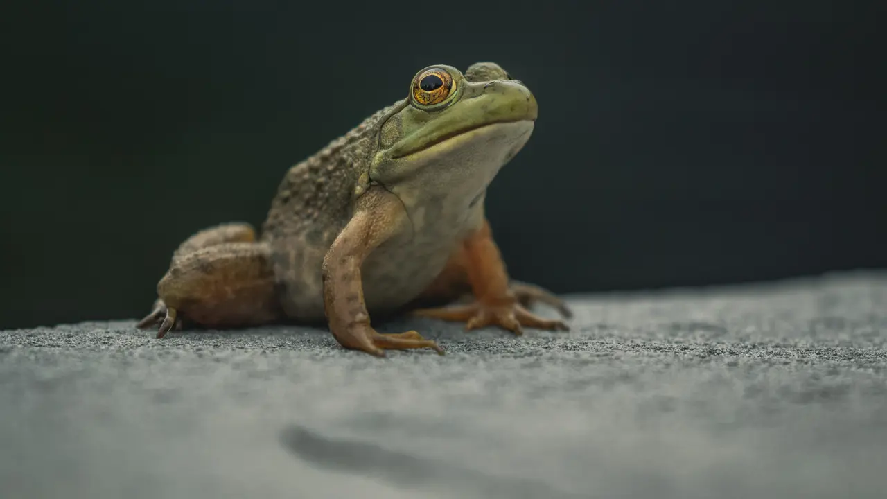 Dugaan Sihir Bertindak Akibat 2 Kali Pinangan Cinta Pria Ditolak