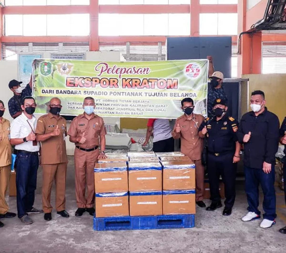 BNN saat ini sedang berkoordinasi dengan Kementerian Kesehatan agar kratom dimasukkan ke dalam jenis narkotika golongan 1.&nbsp;