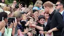 Pangeran Harry menyapa anak kecil saat berjalan di Taman Pemerintah Rotorua, Selandia Baru, Rabu (31/10). Pangeran Harry dan Meghan Markle sedang dalam tur tiga minggu di Australia, Selandia Baru, Tonga, dan Fiji. (Michael Bradley/Pool/AFP)