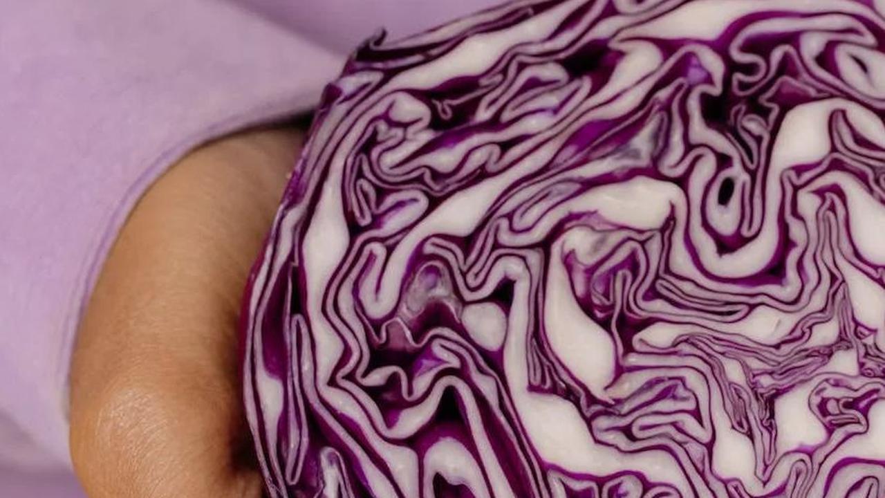 12. Kubis Ungu: Sayuran yang Bisa Jadi Pewarna
