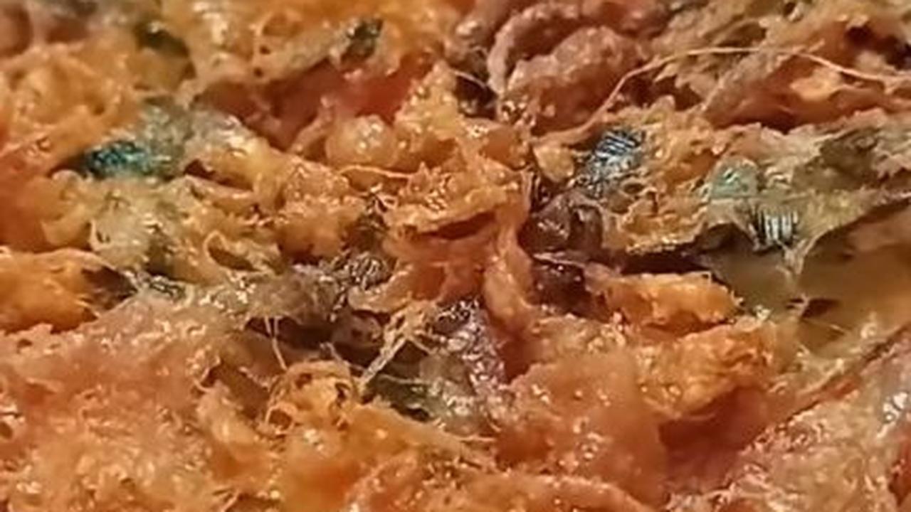 Dadar Keriting Jadi Tambah Krispi dan Tidak Hilang Protein