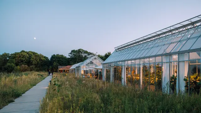 Restoran Noma di Denmark