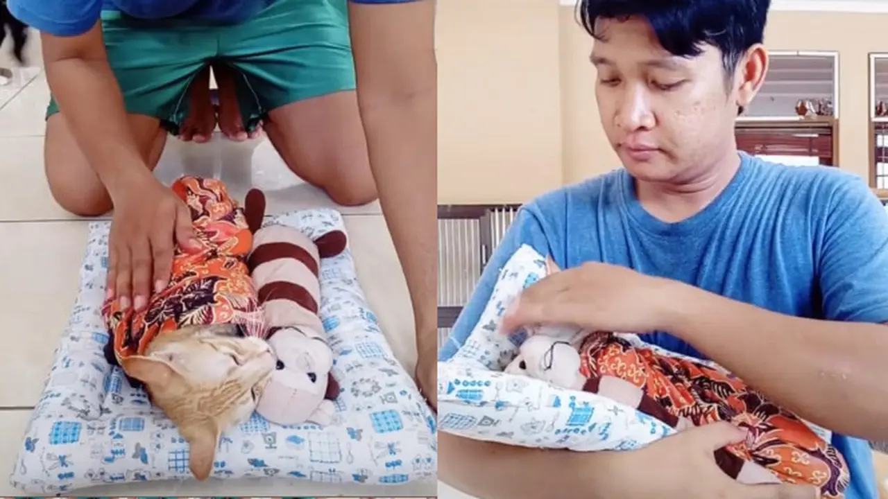 Viral Aksi Pria Bedong Kucing Bak Bayi