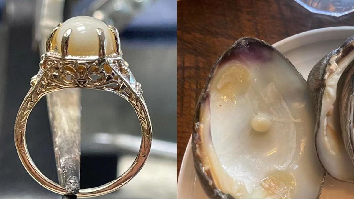 Pria Ini Temukan Mutiara Mahal di Hidangan Restoran, Dijadikan Cincin ...