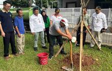 Fakta Unik Tabebuya Pink: Sudin Tamhut Jakbar Gencarkan Penanaman Pohon Jakarta Barat di Semanan, Atasi Polusi dan Erosi!