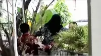 Segmen 2: PNS Terlambat Masuk hingga Sosok Si Perampok Pulomas
