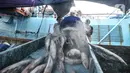 Nelayan menurunkan ikan di Pelabuhan Muara Baru, Jakarta, Kamis (5/8/2021). Data KNTI mencatat, tingkat ekonomi nelayan kembali bangkit dan kian membaik sepanjang tahun 2021 meski masih berada di tengah pandemi Covid-19 yang belum usai. (merdeka.com/Iqbal S. Nugroho)