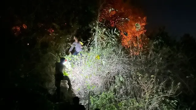Kebakaran lahan melanda kawasan perbukitan di Pekon Parerejo, Kecamatan Gadingrejo, Kabupaten Pringsewu, Lampung. (Liputan6.com/Istimewa).