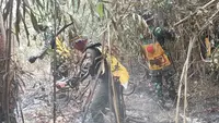 Taman Nasional Way Kambas Terbakar Lagi