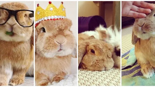 (c) mashable, instagram