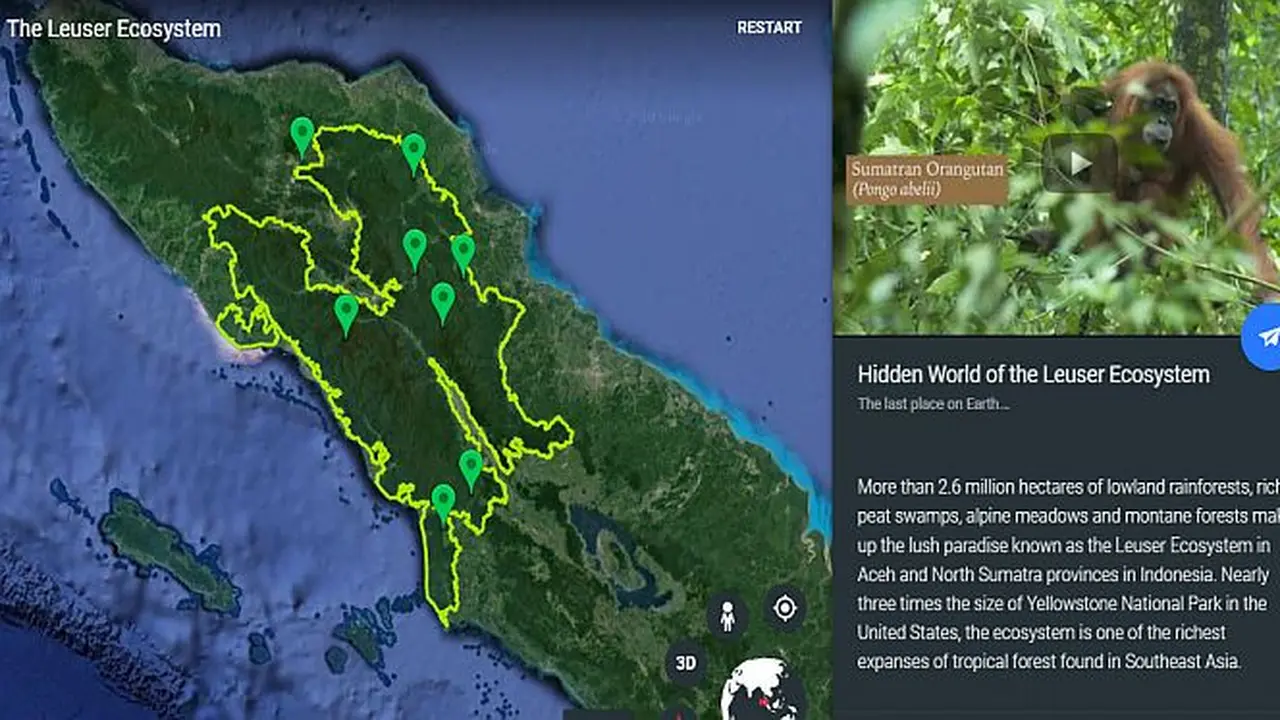 Kawasan Ekosistem Leuser di Google Earth