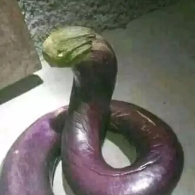 6 Potret Benda Mirip Ular Ini Kocak Tapi Bikin Kaget, Panik Jika Sungguhan