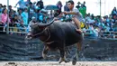 Seorang joki mengendalikan kerbaunya saat bersaing pada perlombaan balap kerbau tahunan di Chonburi, Thailand, Selasa (23/10). Lomba ini menandai berakhirnya musim hujan dan awal panen padi dalam tradisi yang berumur lebih dari satu abad (Jewel SAMAD/AFP)