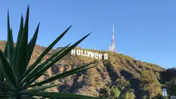 Pemandangan tanda ikonik Hollywood yang diubah menjadi Hollyweed  di Hollywood Hills, Los Angeles, Minggu (1/1). Ulah pelaku vandalisme  itu tertangkap kamera pengawas antara tengah malam hingga pukul 02.00 waktu setempat. (REUTERS/Kevork Djansezian)