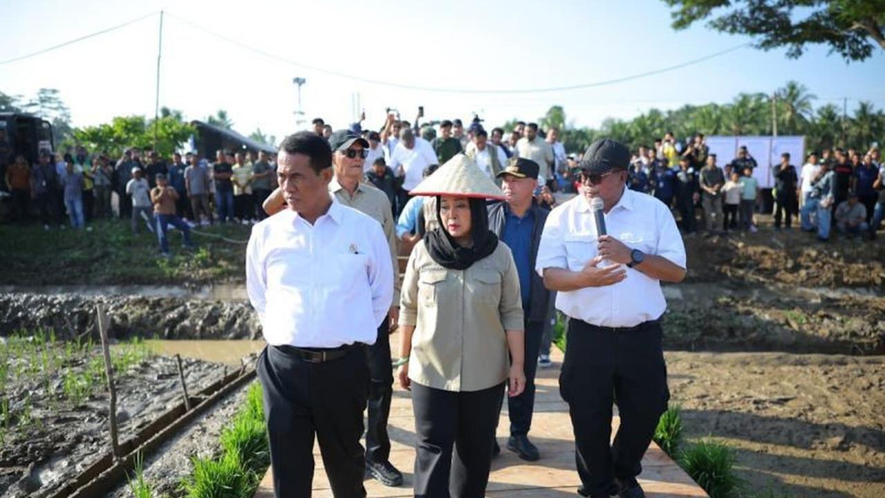 Kementan Alokasikan Rp336 Miliar untuk Rehabilitasi Sawah Terdampak Banjir di Sumatera