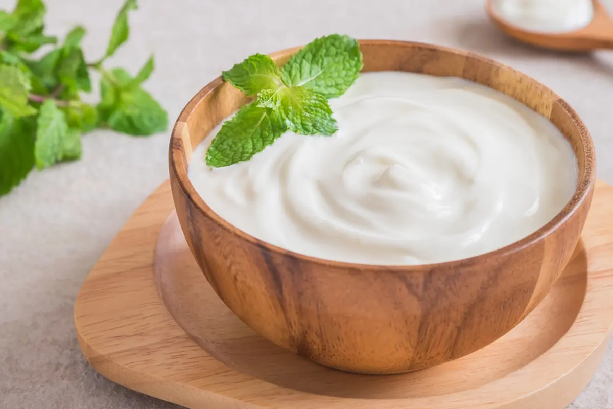 Ilustrasi Yoghurt