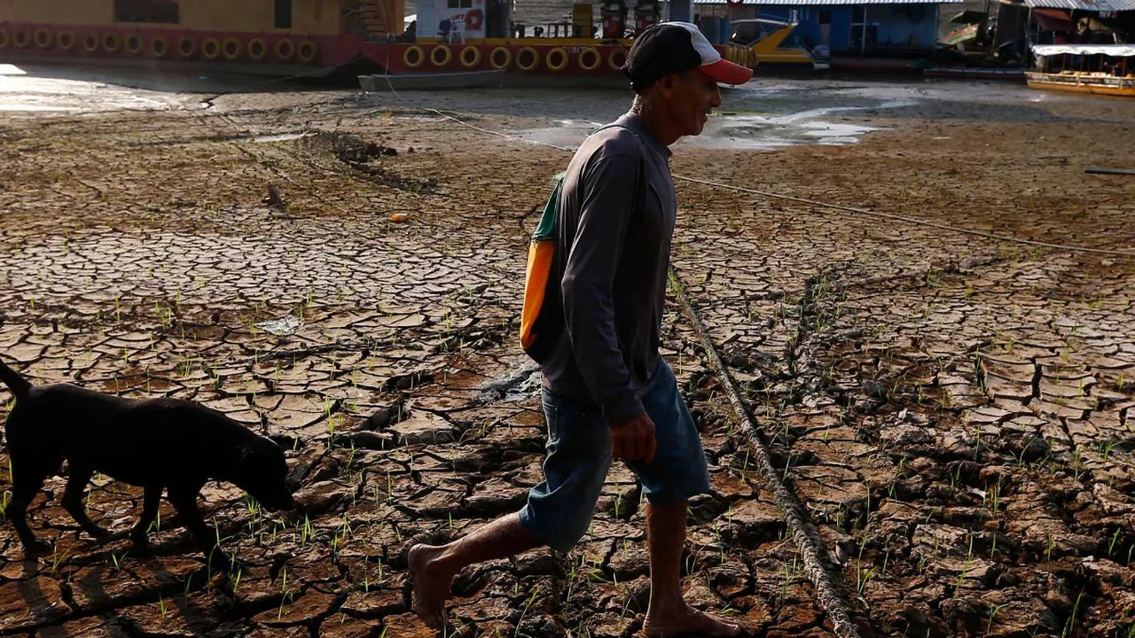 Jokowi mengakui bahwa saat ini produksi padi nasional mengalami penurunan akibat dampak El Nino. Namun, dia memastikan produksi beras domestik masih dalam kategori baik.&nbsp;
