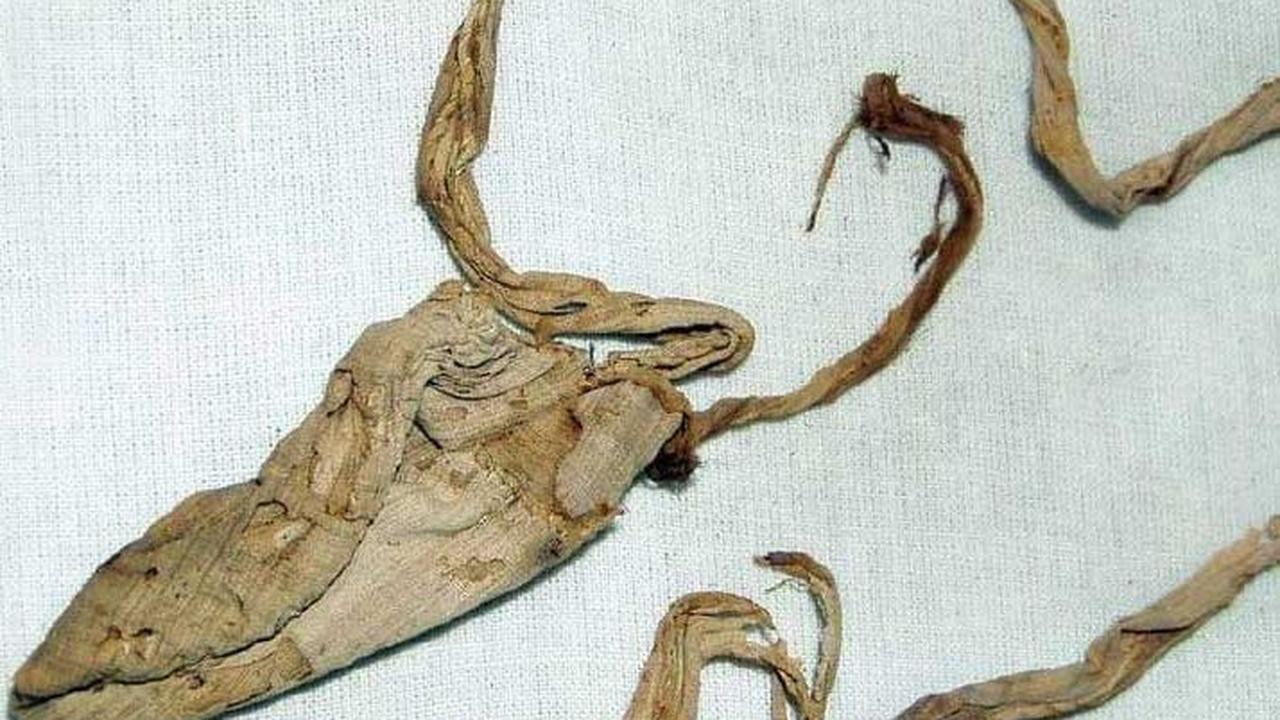 Kondom ini berisi jejak DNA Tutankhamun. Alat kontrasepsi kuno ini terbuat dari sehelai kain linen, yang direndam dalam minyak zaitun, dan ada sebuah tali dari kain yang dapat diikatkan ke pinggang.
