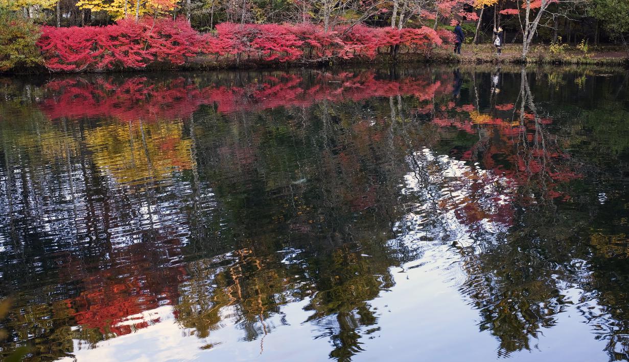 Orang-orang yang memakai masker untuk membantu mengekang penyebaran virus corona berfoto sambil berjalan di sepanjang jalan setapak saat pepohonan mulai berubah warna dedaunan musim gugur di Nagano, barat laut Tokyo, Jepang, Senin (26/10/2020). (AP Photo/Kiichiro Sato)