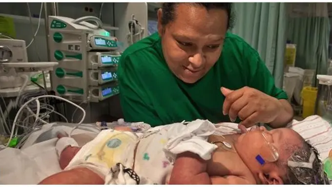 Foto : copyright dailymail.com