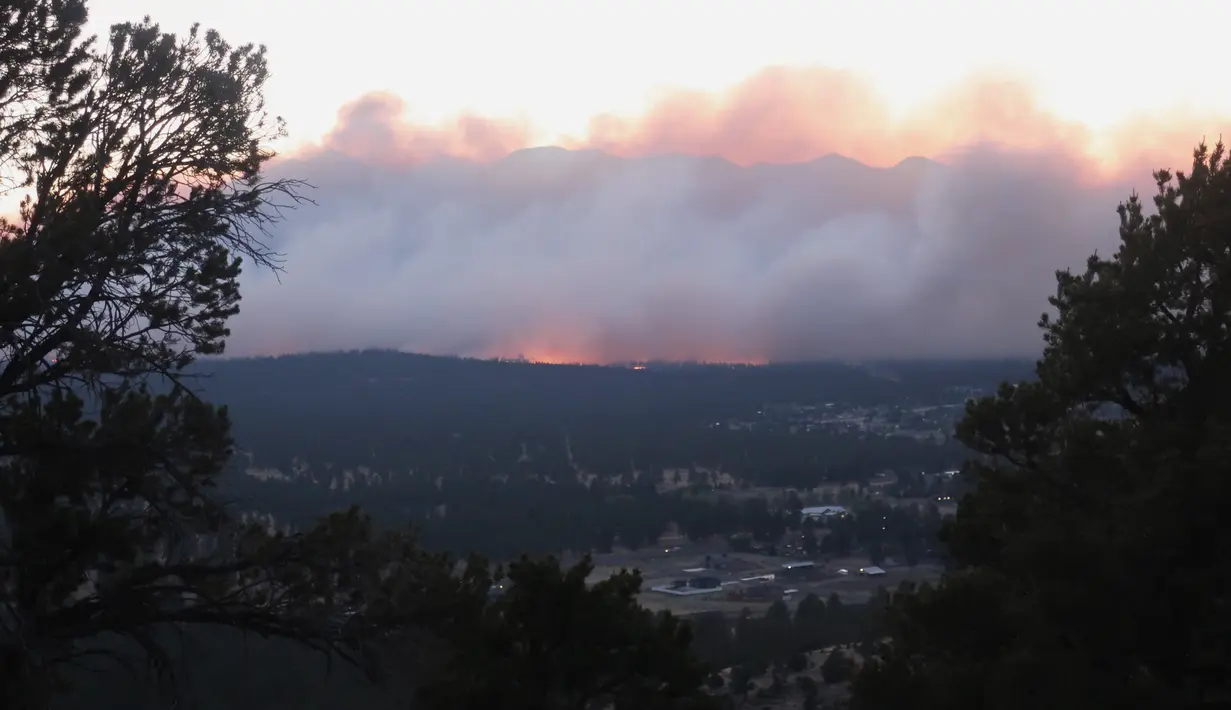 <p>Kebakaran hutan yang membakar memancarkan cahaya di atas lingkungan di pinggiran Flagstaff, Arizona, Minggu (12/6/2022). Evakuasi telah diperintahkan untuk rumah-rumah di daerah tersebut. Pihak berwenang mengatakan petugas pemadam kebakaran menanggapi kebakaran hutan sekitar enam mil di utara Flagstaff yang telah memaksa evakuasi. (AP Photo/Felicia Fonseca)</p>