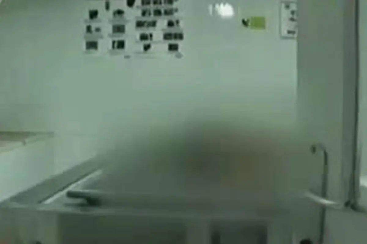 Mayat Wanita Dimutilasi