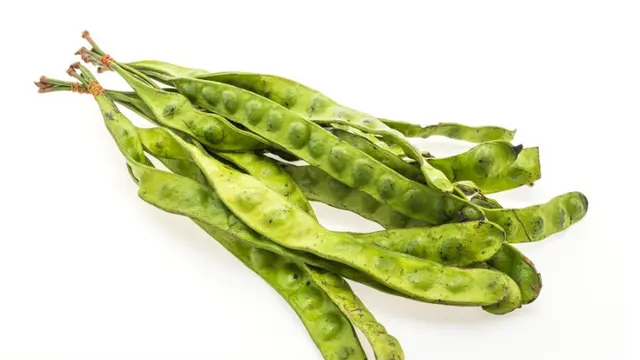 5 Trik Kreasi yang Lezat Menyajikan Petai yang Disukai Anak