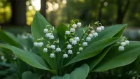 Mengenal Bunga Lily of the Valley, Si Lonceng Putih Simbol Kemurnian Kesayangan Kerajaan Inggris