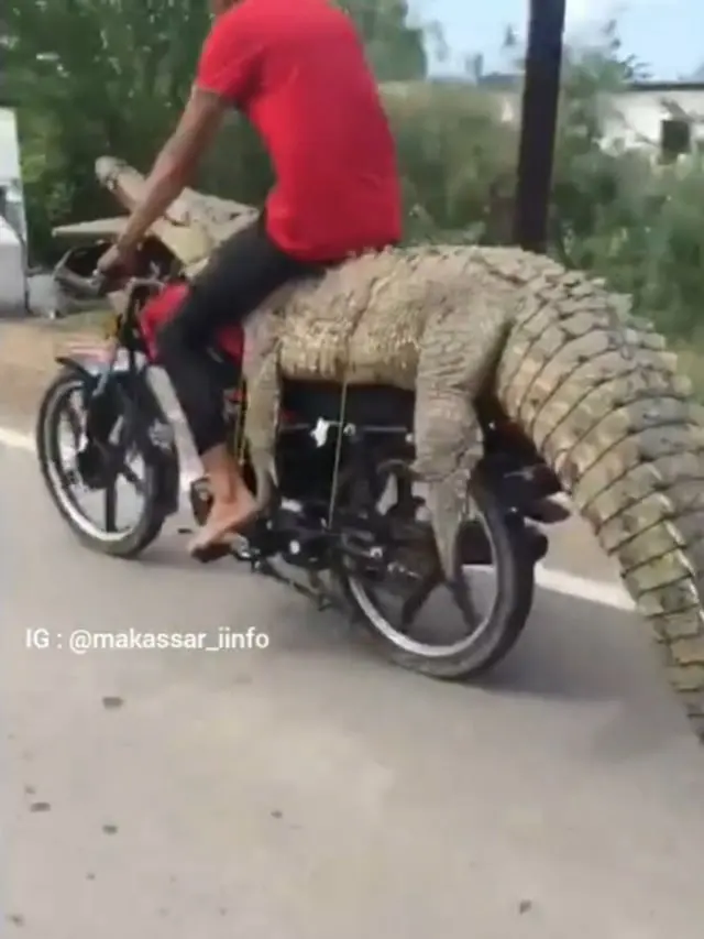 6 Potret Orang Bonceng Hewan Pakai Motor Ini Bikin Melongo