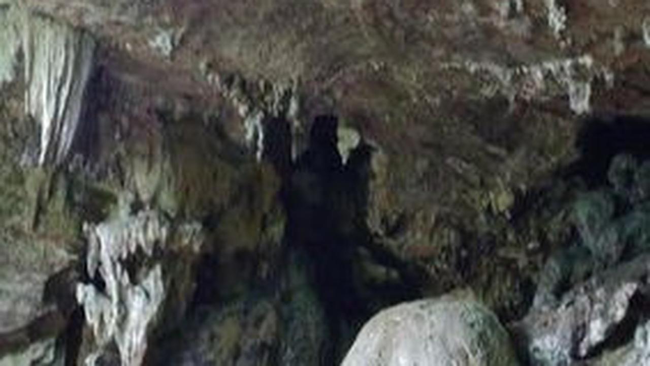 Ditemukan Hunian dari Zaman Pleistosen, Ini Sederet Fakta Gua Harimau di Ogan Komering Ulu