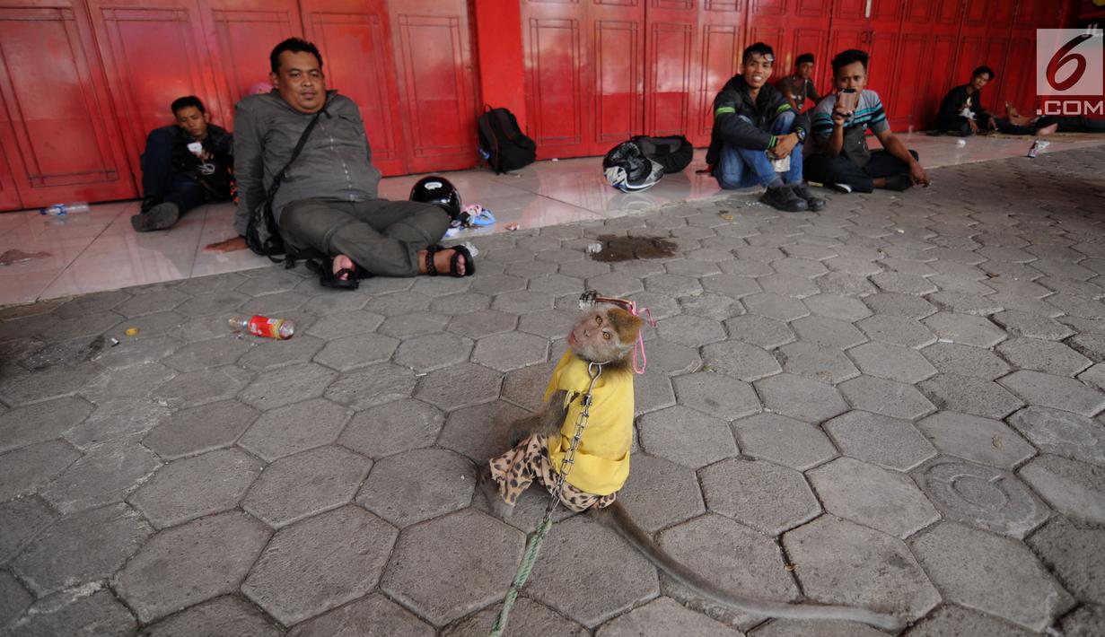 Pemudik melihat atraksi topeng monyet saat terjebak kemacetan di jalur Pantura Brebes, Jawa Tengah, Kamis (22/6). Antrean kemacetan panjang para pemudik dimanfaatkan untuk mendulang rupiah para pemilik atraksi topeng monyet. (Liputan6.com/Gempur M Surya)