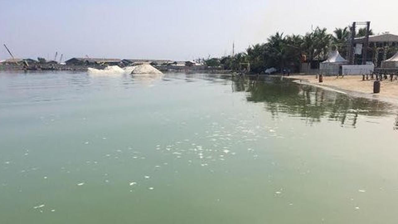 Karena sedimen bawah laut naik.setelah ada perubahan suhu