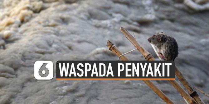 VIDEO: Waspada Penyakit Mengintai Daerah Terendam Banjir