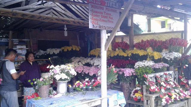 Untung Rugi Festival Bunga Tomohon bagi Para Petani Lokal