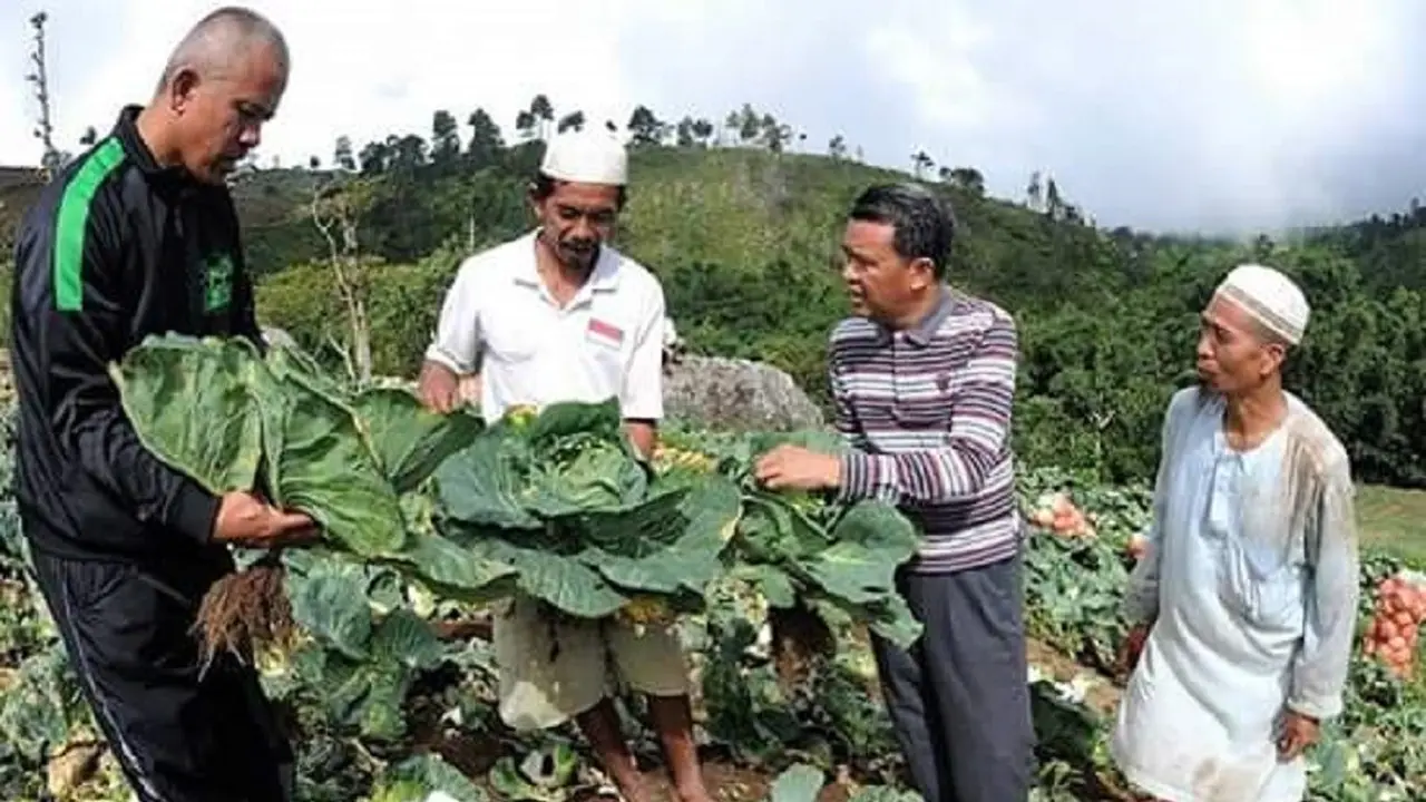 Cagub Sulsel, Nurdin Abdullah sedang meninjau hasil panen warga di Kabupaten Bantaeng (Liputan6.com/ Eka Hakim)