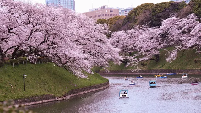 Chidorigafuchi Moat
