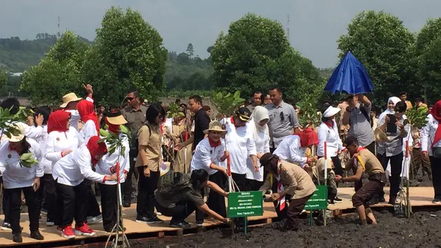 Iriana Jokowi menanam mangrove di Batam, Kepulauan Riau