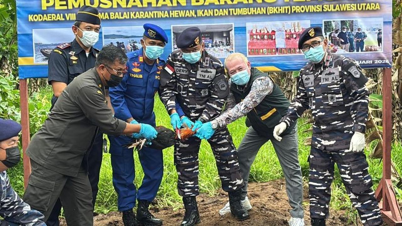 Barantin Musnahkan Ratusan Ayam Ilegal Asal Filipina, Putus Rantai Flu Burung