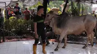 Doa agar Rezeki Cukup untuk Kurban Tahun Depan, Ikhtiar Batin agar Diberi Kelapangan