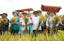 Sukses Panen Padi 10 Ton Pati: Pemkab Buktikan Produktivitas Pertanian Unggul