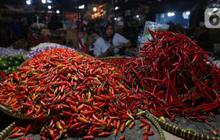 Update Harga Pangan Terkini: Cabai Rawit Merah Rp 49.150 dan Telur Rp 31.500 per Kilogram