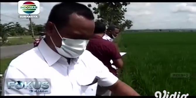 VIDEO: Seorang Pria di Ngawi Meninggal Tersengat Listrik Jebakan Tikus Sawah