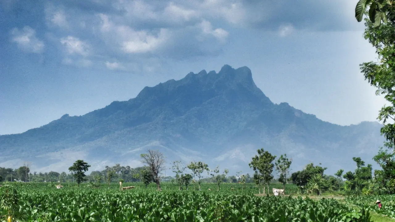 Gunung Ringgit