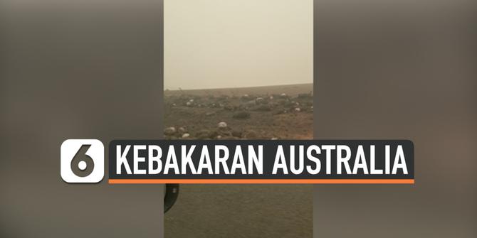 VIDEO: Mengenaskan, Hewan-Hewan Korban Kebakaran di Australia