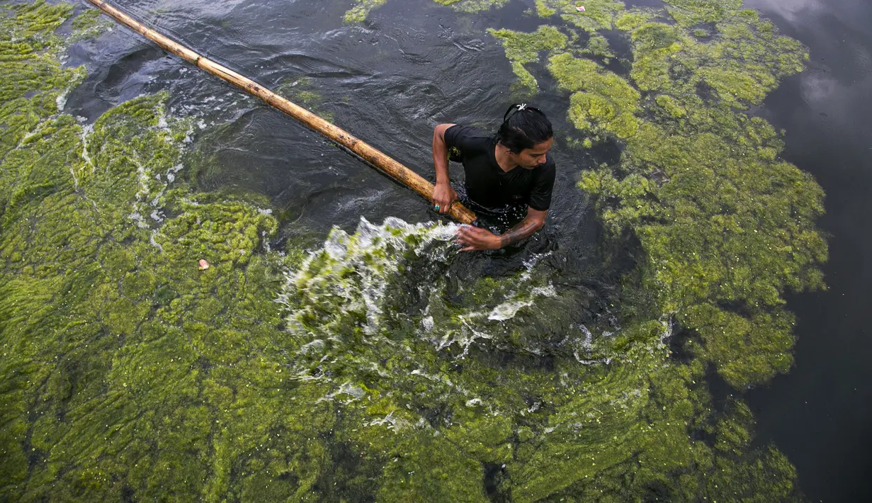 Seorang pekerja membersihkan ganggang di kolam Kamal Pokhari di Kathmandu, Nepal, Selasa (27/7/2021). Kolam Kamal Pokhari merupakan salah satu kolam tertua dan bersejarah yang sedang menjalani restorasi. (AP Photo/Niranjan Shrestha)